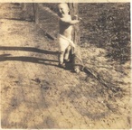 roydupree_008.jpg
